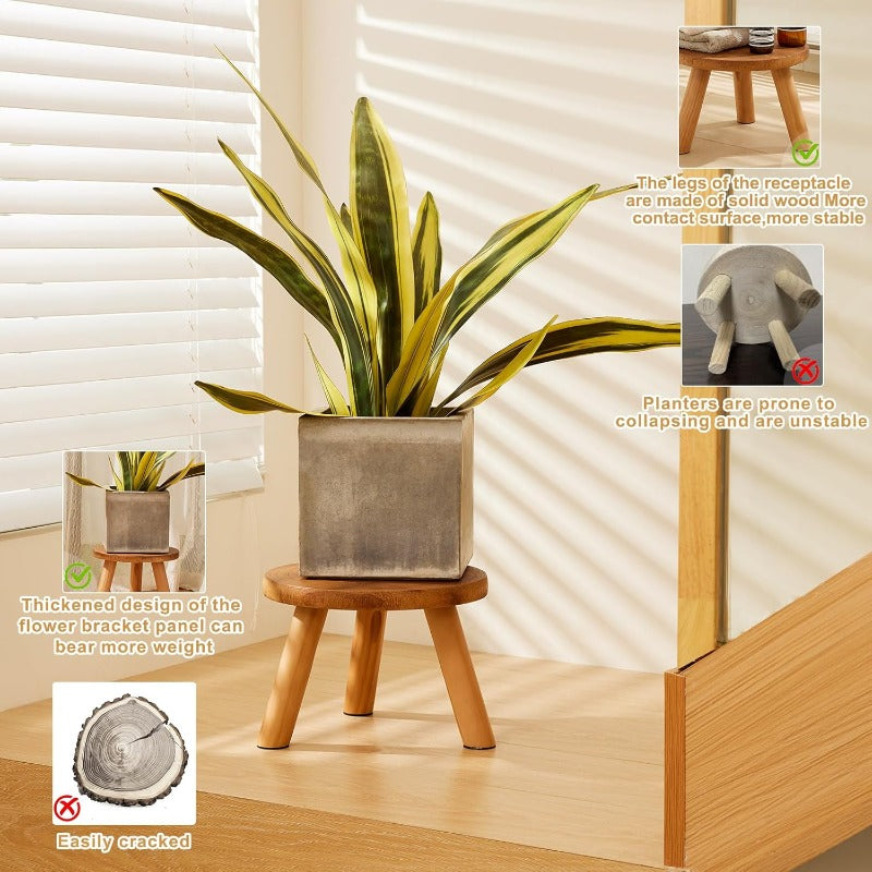 Yaga 2 Pack Large \u002FOutdoor Wood Plant Stand with Growth Ring Display - Heavy-Duty Paulownia Wood Rustic Mid-Century Modern Tree Stool for 11-12\